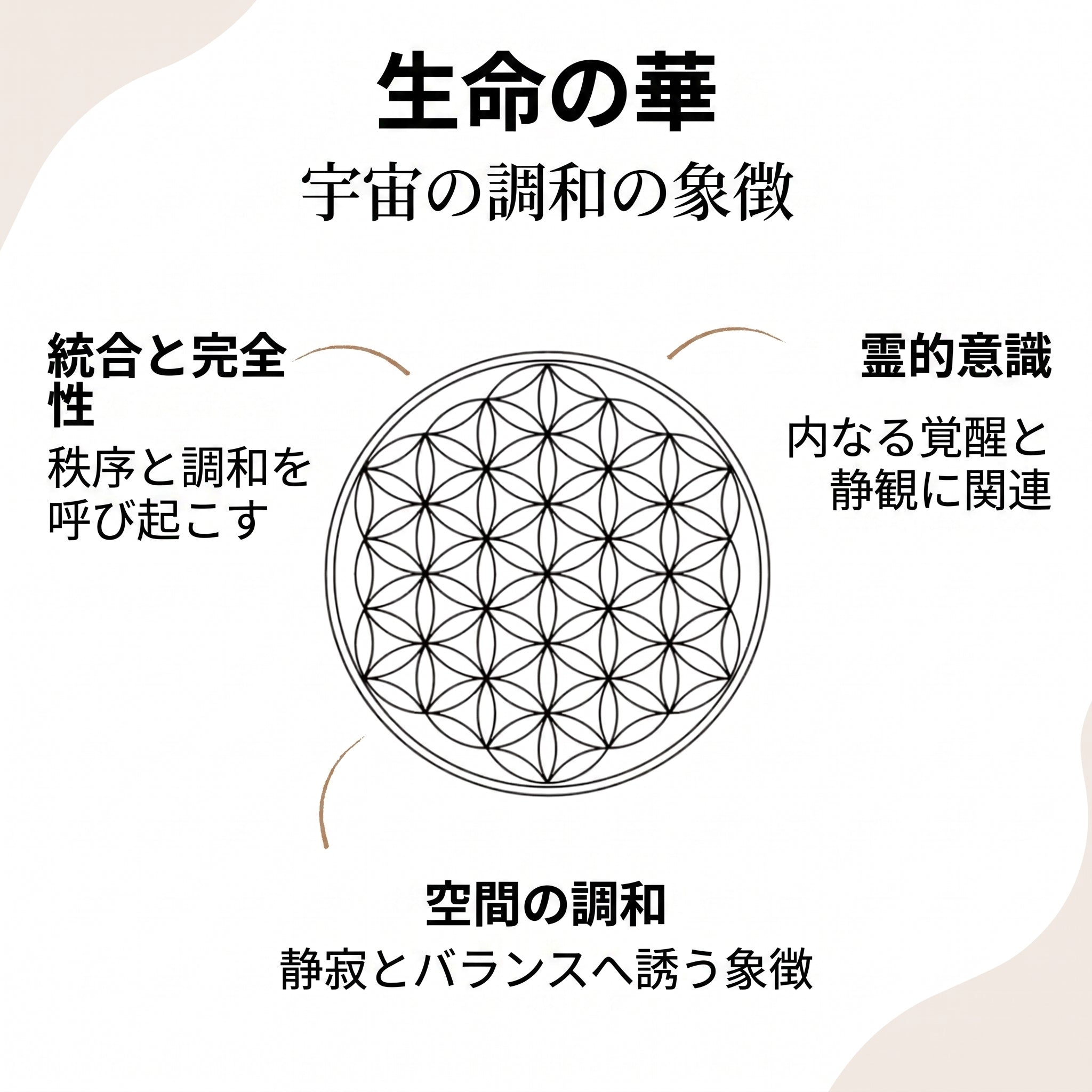 ズーム