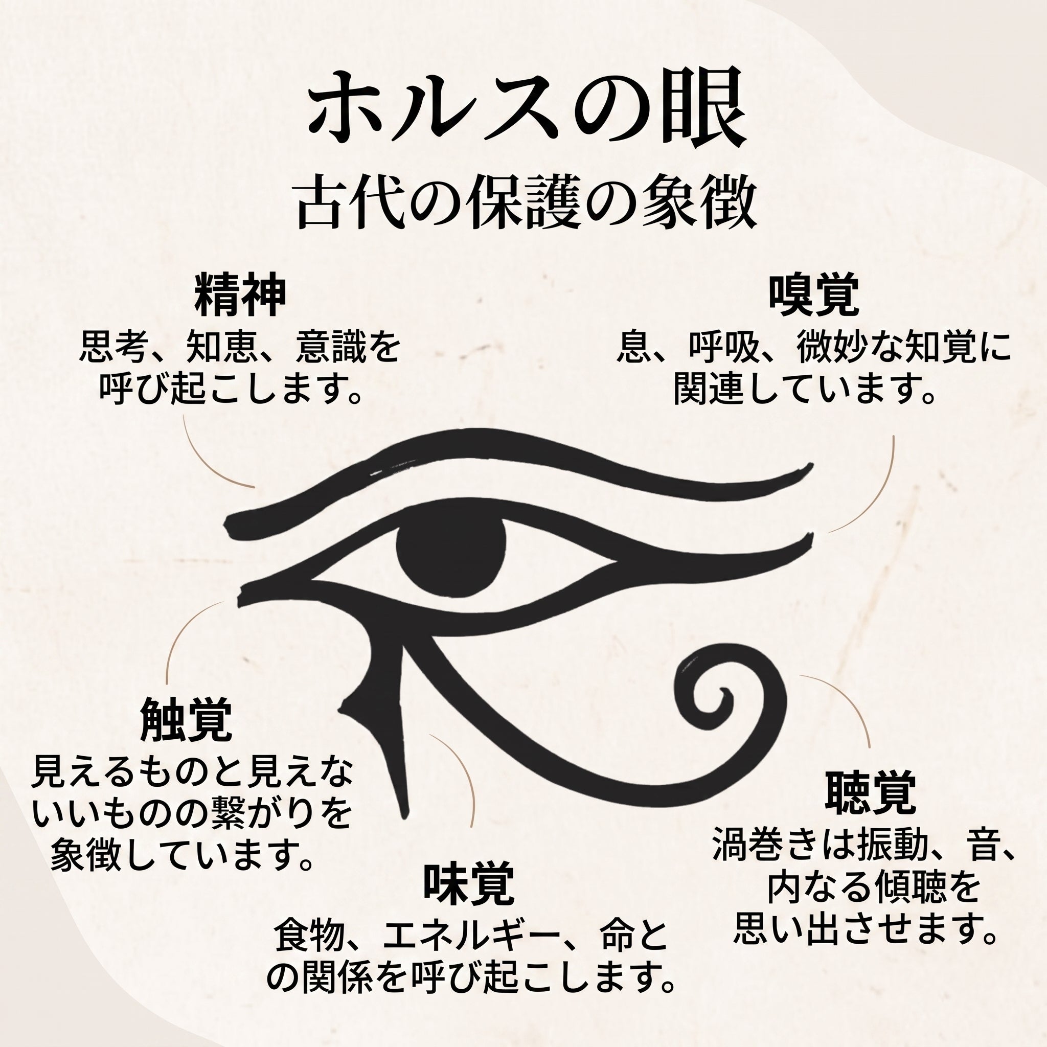 ズーム