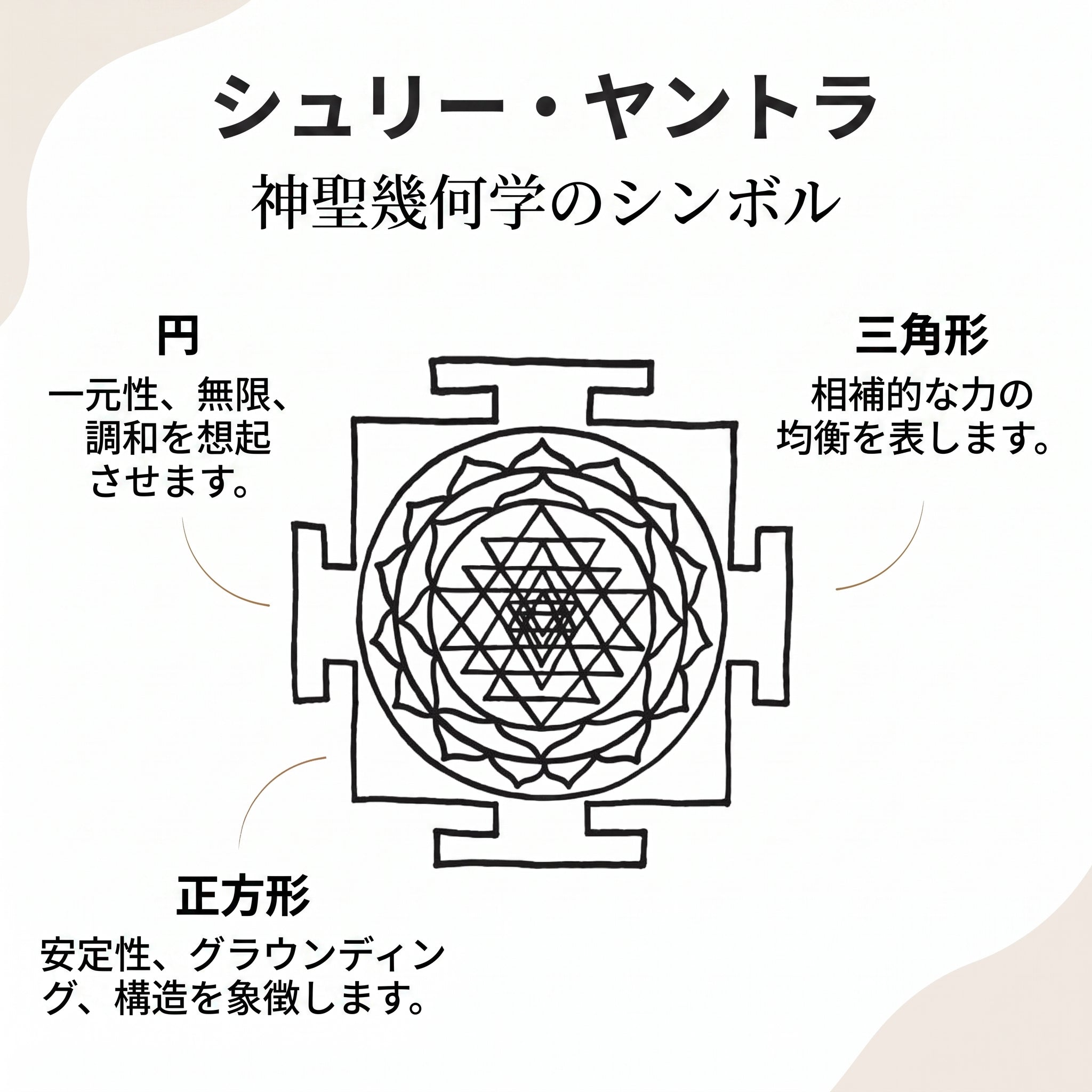 ズーム
